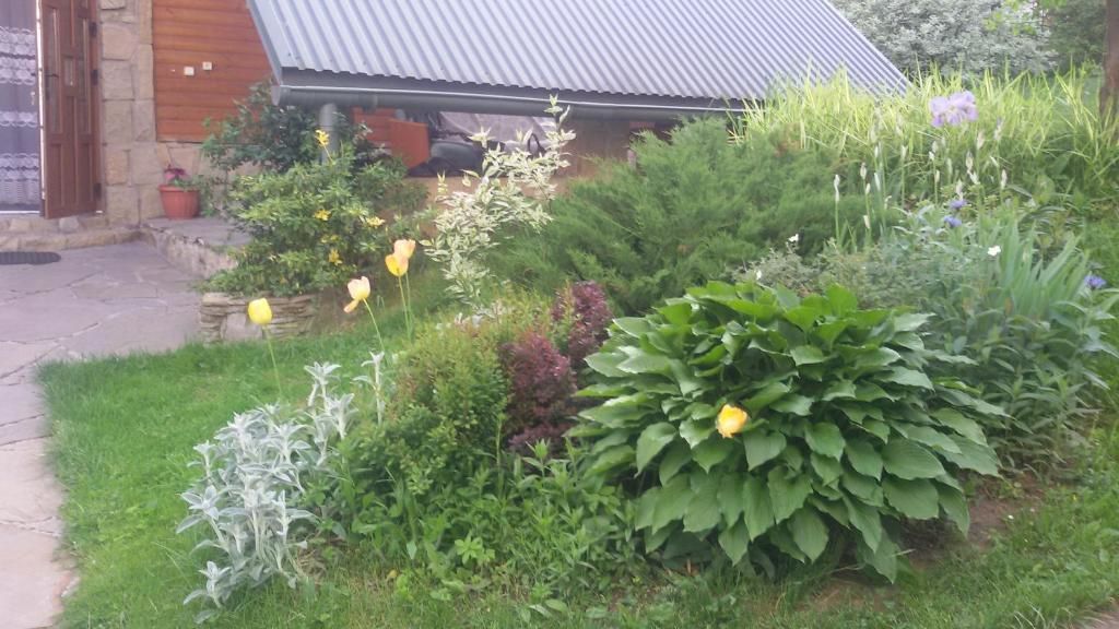 Гостевой дом Guest house Zatishniy dvir Яремче